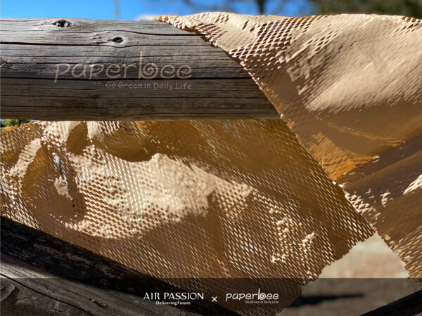 AIR PASSION x PAPERBEE 07 AIR PASSION x PAPERBEE 07