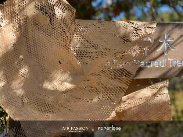 AIR PASSION x PAPERBEE 12 AIR PASSION x PAPERBEE 12