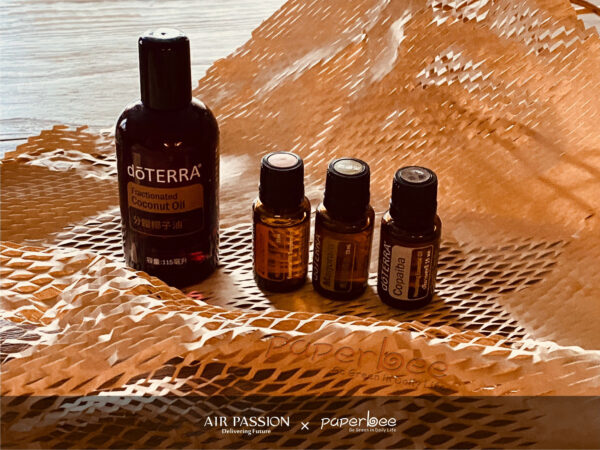 AIR PASSION x PAPERBEE 29 AIR PASSION x PAPERBEE 29